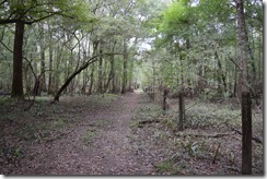 Path along fence-2