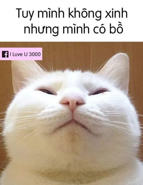 Mách bạn nhiều hơn 92 hình ảnh lêu lêu mới nhất - Tin Học Vui