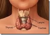 Penyakit Hypotiroid