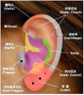 파일:attachment/piercing.jpg