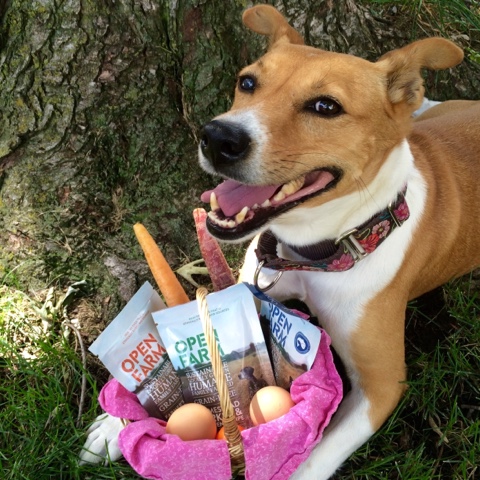 Certified Humane Dog Food Certified Humane Dog Food