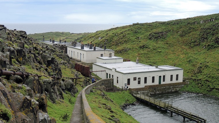 2016-08-11 Isle of May 0341 FS 2016-08-11 Isle of May 0341 FS