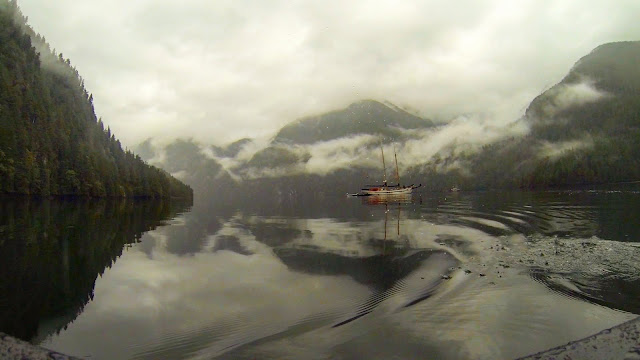 In the heart of the Great Bear Rainforest, BC. Photographer Courtney Quirin