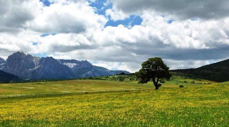 Monte bove  di __francesca_