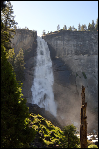 INTENSA RUTA POR LA COSTA OESTE USA 2015 - Blogs de USA - YOSEMITE (6)