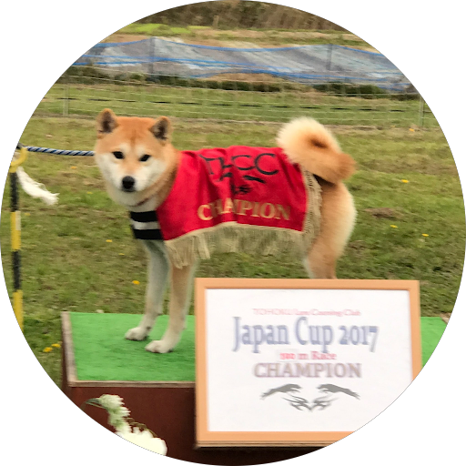 Nailsalon Claire ネイルサロンクレア 宮城県石巻市開北 ネイルサロン グルコミ