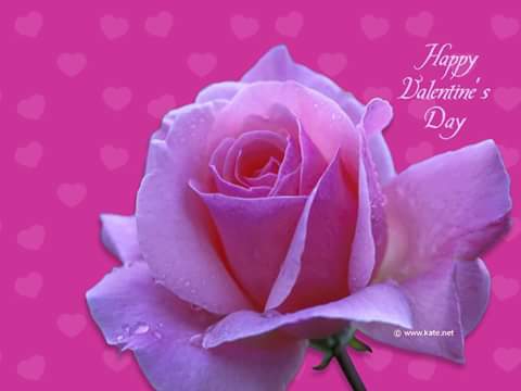 Happy Rose Day