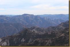 IMG_1287 IMG_1287