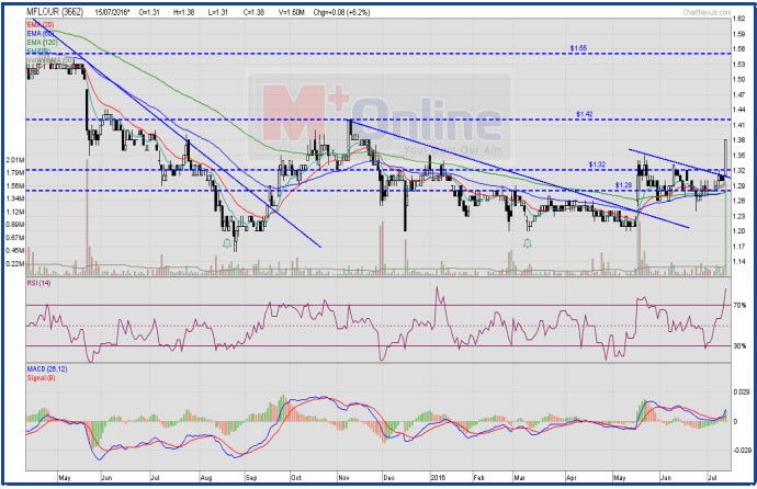 mflour share analysis