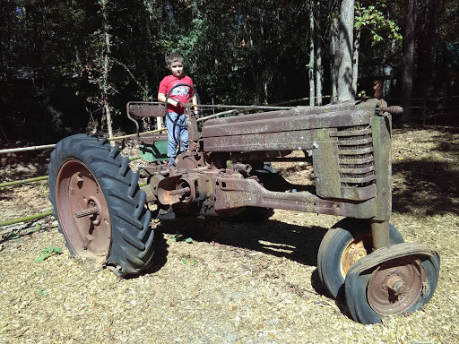 Farm «Buford Corn Maze.», reviews and photos, 4470 Bennett Rd, Buford, GA 30519, USA