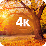 Cover Image of Baixar Papéis de parede de outono em 4K 15.09.2020-autumn APK