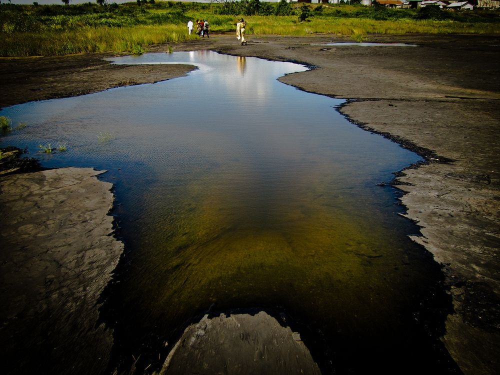 tar-pits-fossils-6