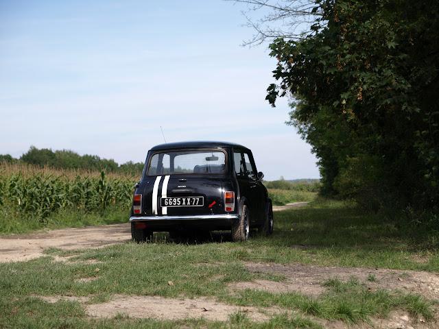 Un mini de plus dans le 95 VW318238