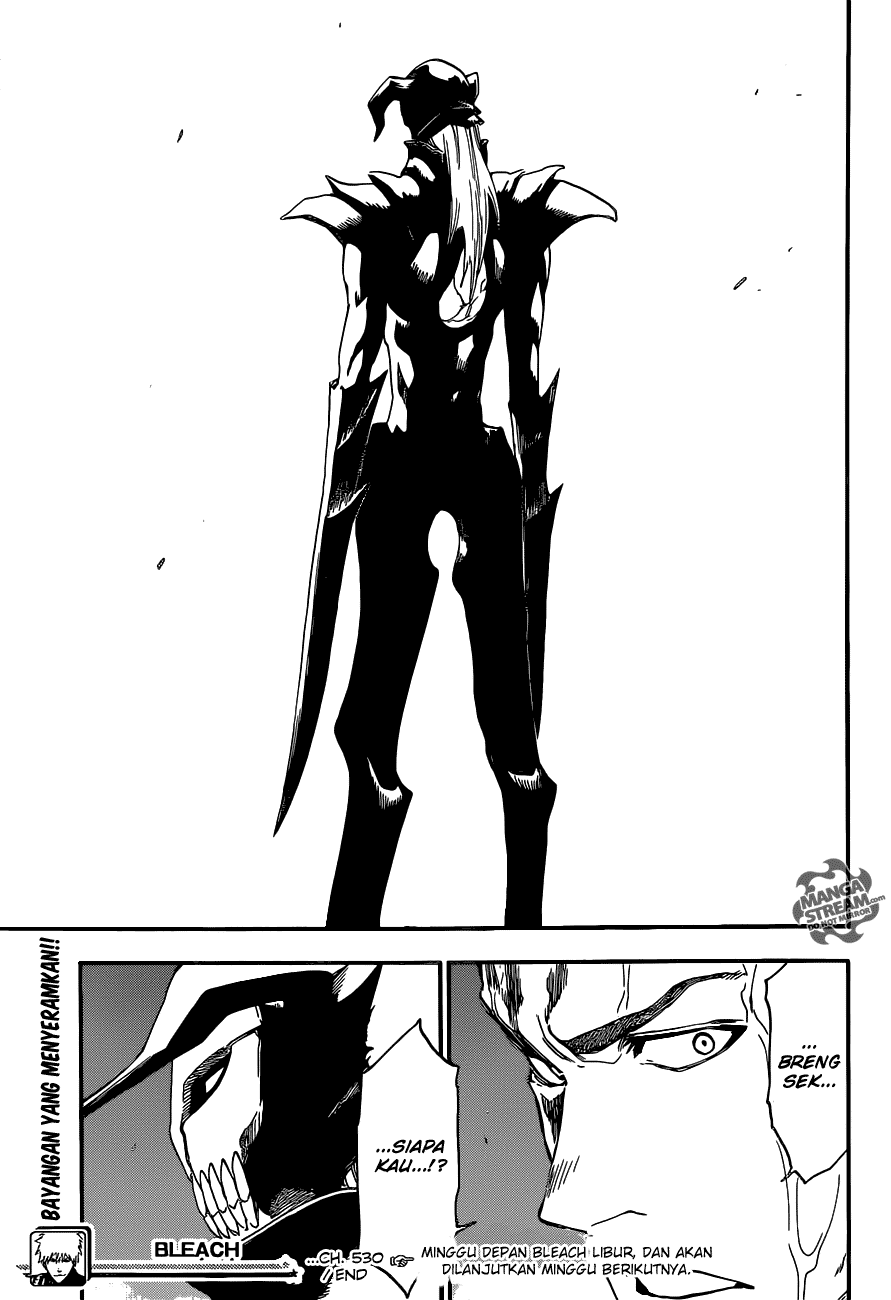 Bleach 530