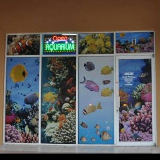 Aquarium «Dream Aquarium 1», reviews and photos, 6900 W 32nd Ave #9, Hialeah, FL 33018, USA