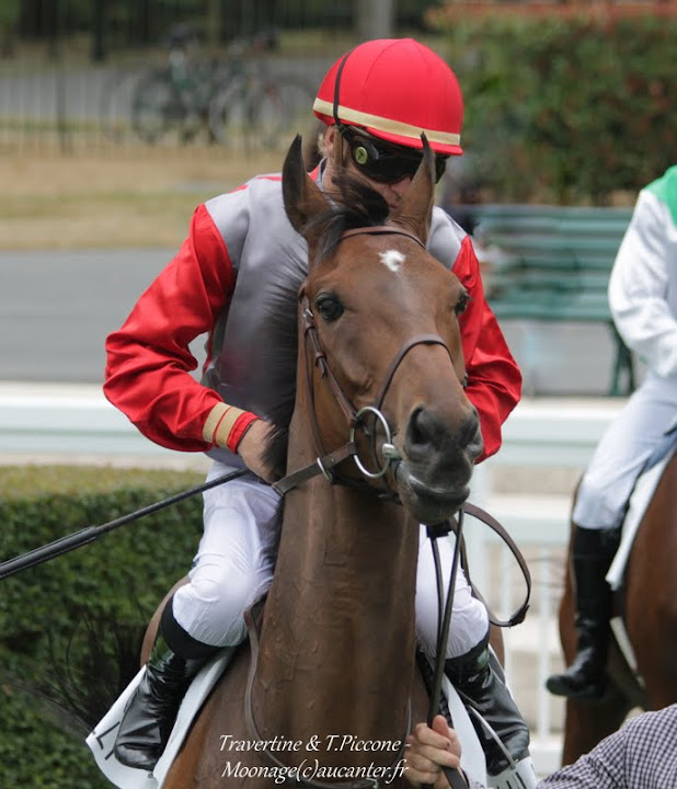 Photos Chantilly 12-07-2015 IMG_2806