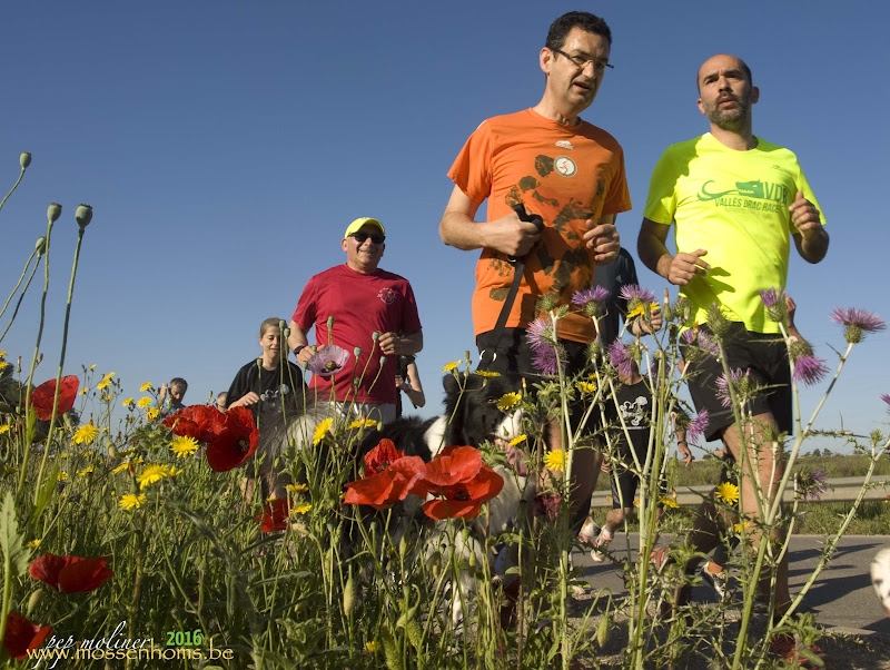 width=“100%” />
Acolorida fotografia, amb en Barcia, <a class=