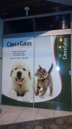 Cães e Gatos Consulório Veterinário, R. Antônio Ferlin, 40 - Alvorada, Videira - SC, 89560-000, Brasil, Loja_de_animais, estado Santa Catarina