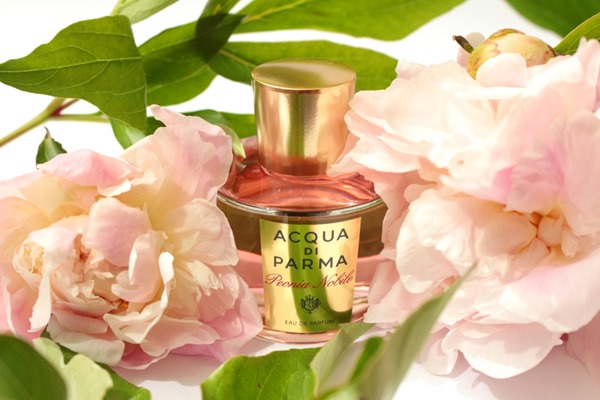 PeoniaNobileAcquaDiParma7_