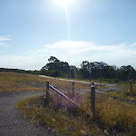 Trails through Green Point Reserve (404062)