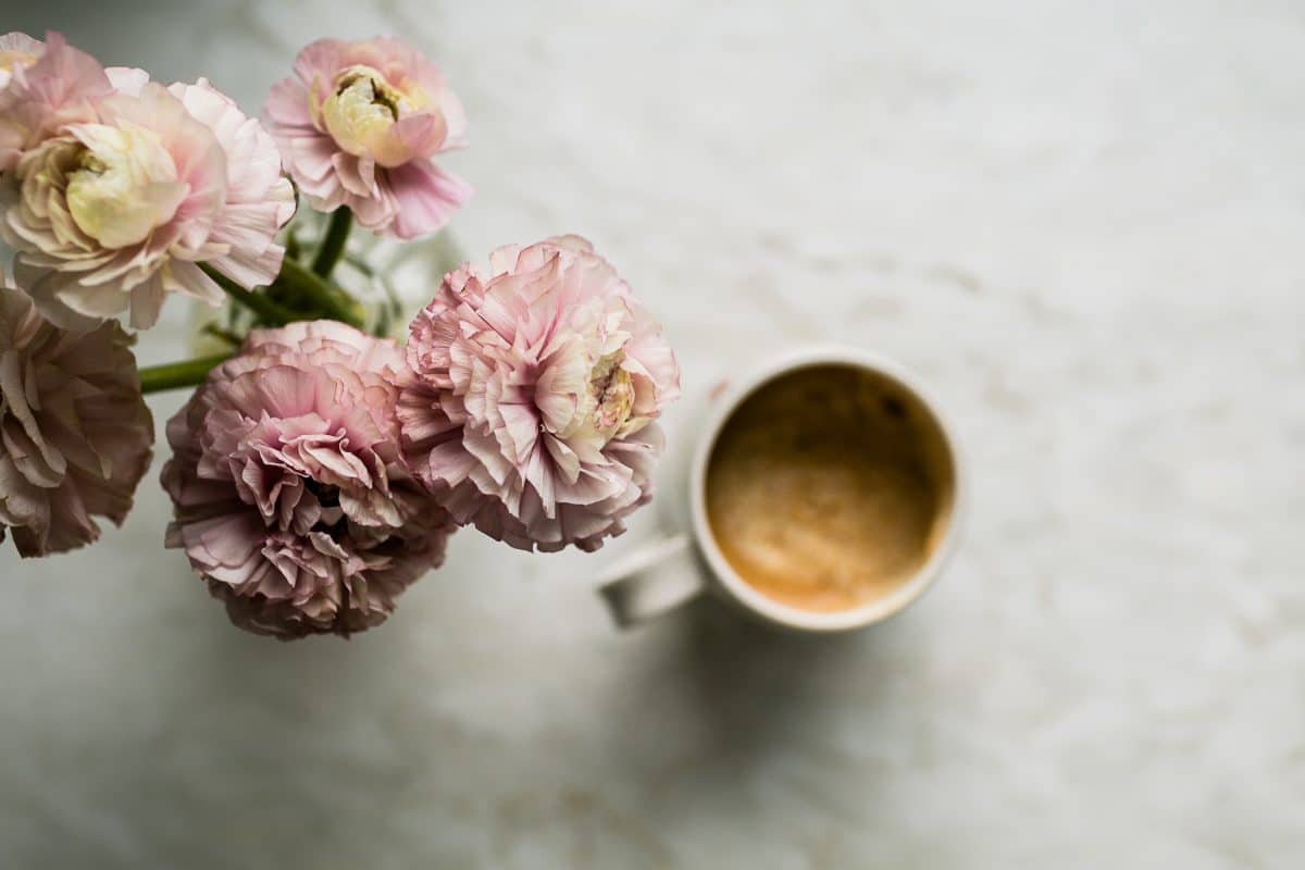 Dusty pink flowers and cream colored coffee in a still life photograph