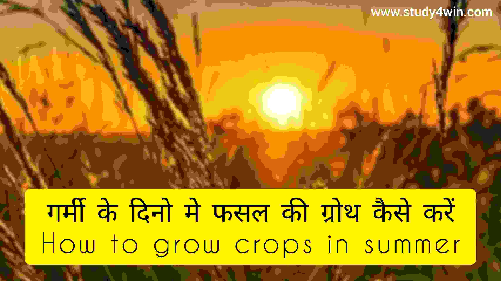 गर्मी के मौसम मे फसल की ग्रोथ कैसे करें - How to grow crops in summer