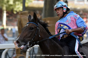 PALIO DI ASTI 2015 Prove ufficiali