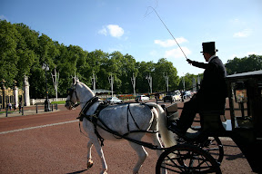 Royal horse carriage