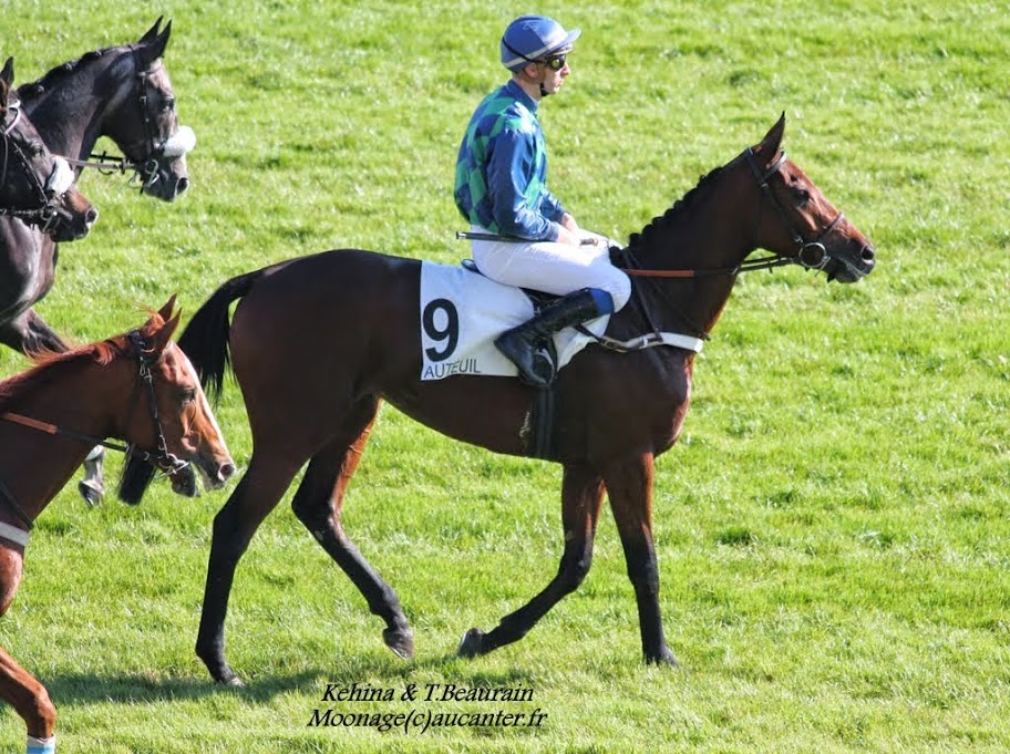 Photos Auteuil 18-10-2014 IMG_4773