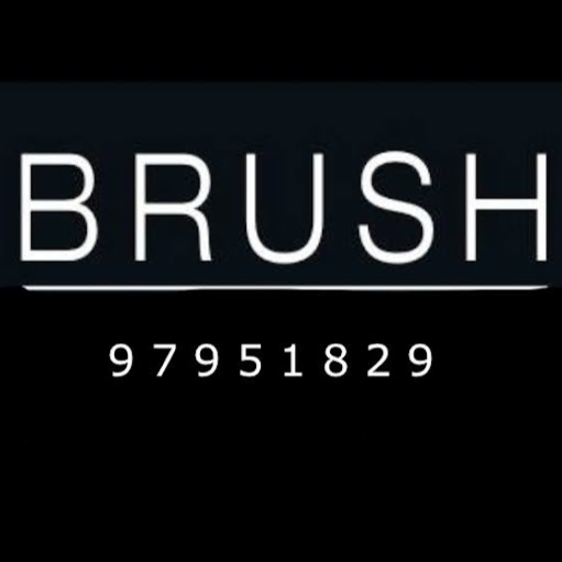 Brush Hair Design logo