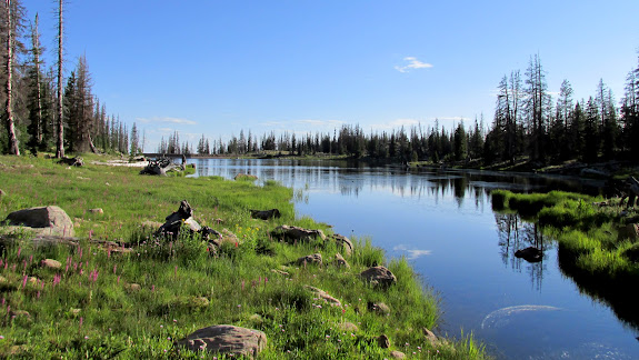 Weir Lake