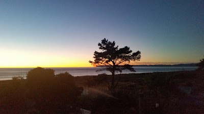 Photos of Bachcare Rarangi