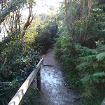 Manly Scenic Walkway (70279)