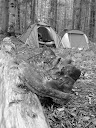 P1040158.JPG