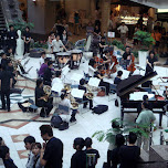 orchestra at the mall in Yokohama, Japan 