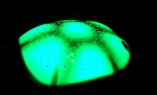 constellation night light