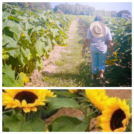 Mildred Johnson Address, Phone Number, Public Records Radaris