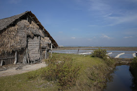 salt fields