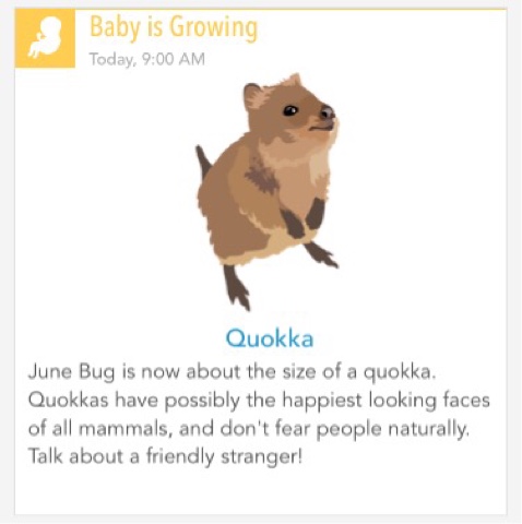 creating family c 34 weeks pregnant 34 weeks pregnant
