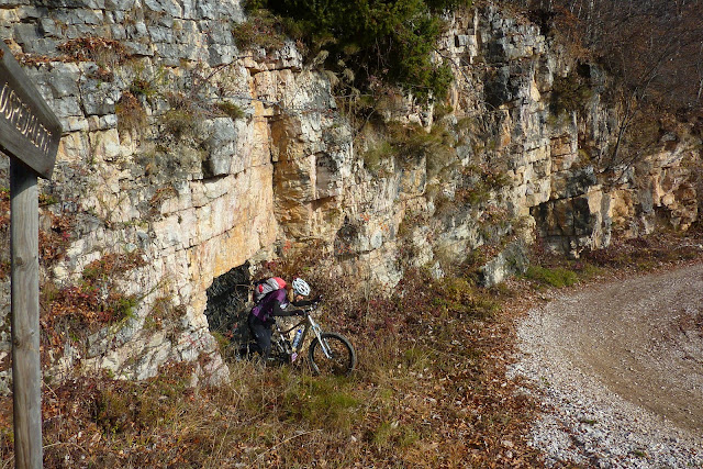 P1020240.JPG