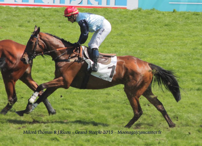 Photos Auteuil 17-05-2015 Journée du Grand Steeple IMG_0199