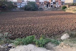 Uttar Pradesh : गंदगी, कचरा व जलकुंभी से भरा है राजातालाब का ऐतिहासिक संगम तालाब