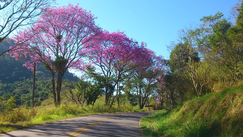 cicloviagem: do sul de minas à praia! DSC_1065