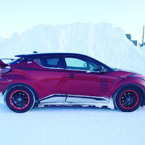 C-HR NGX50