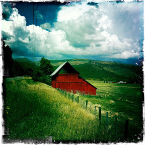 Hipstamatic image