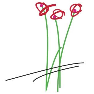 Blumen Elsperger-Weiss GbR logo