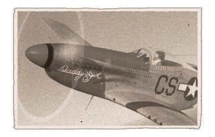 파일:external/encyclopedia.warthunder.com/p-51d-10.png