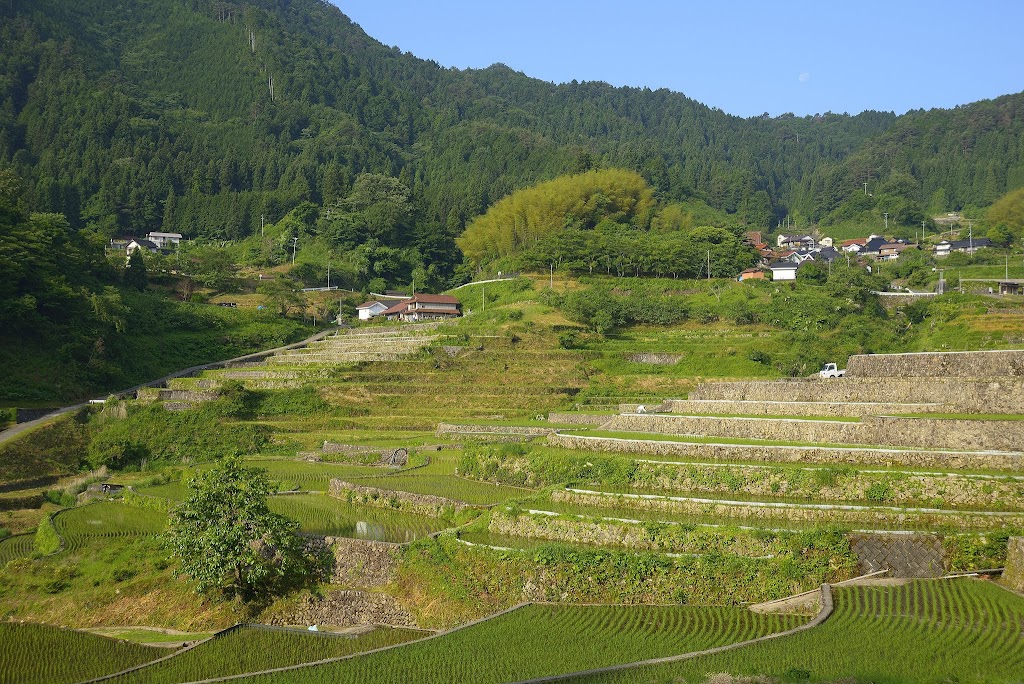 井仁の棚田