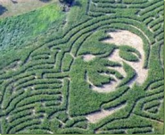 cornmaze bo