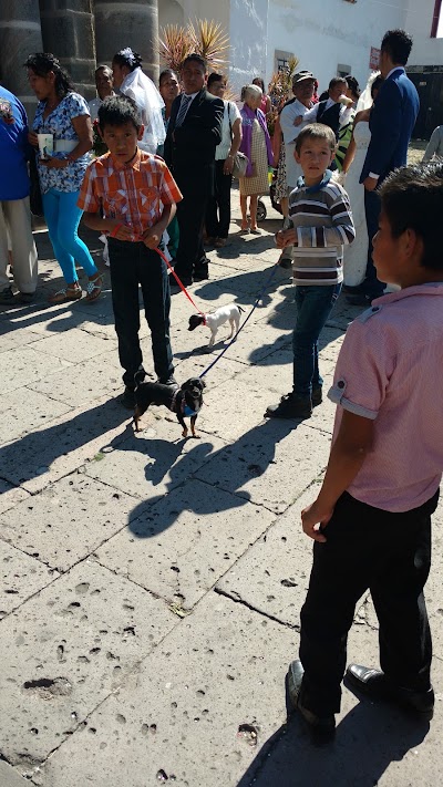 Photos of Parroquia San Pedro y San Pablo
